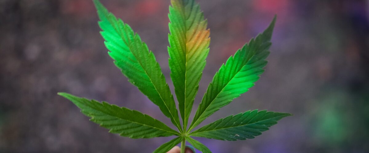 Florida Medical Marijuana and Gun Laws