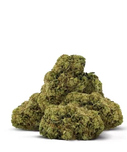 Premium 4g THCA Hemp Flower Jar – Herbin Living Miami